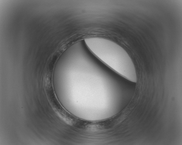 X0000079580408200612010931