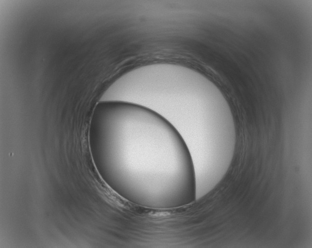 X0000079580409200612010931