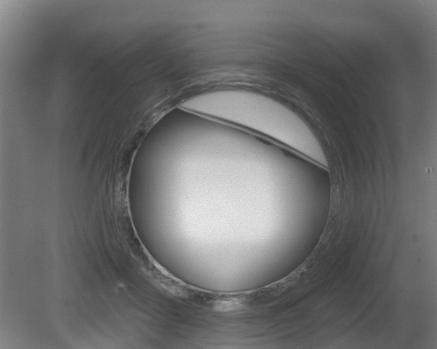 X0000079580411200612010931