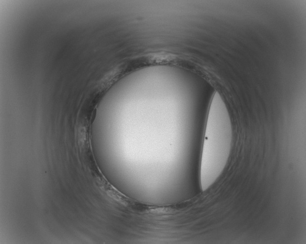 X0000079580417200612010930