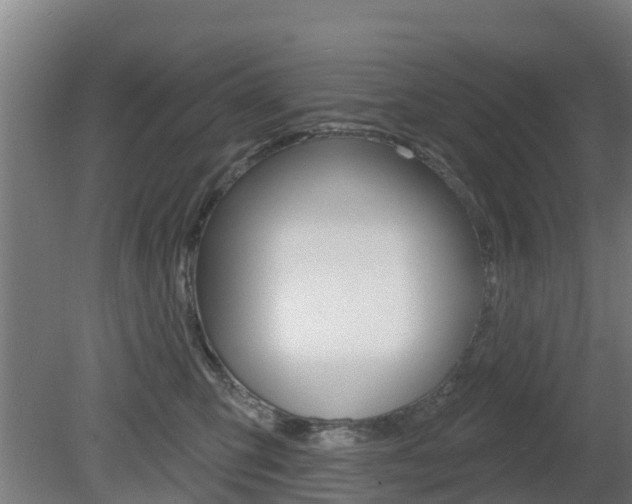 X0000079580423200612010930