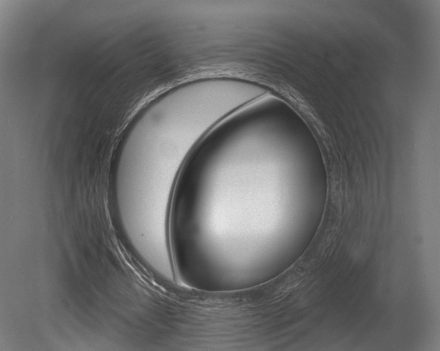 X0000079580434200612010929