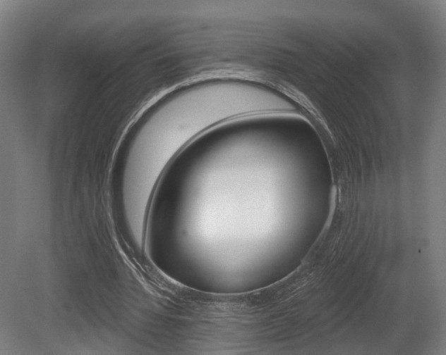 X0000079580436200612010929