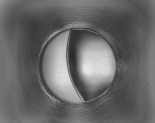 X0000079580438200612010929