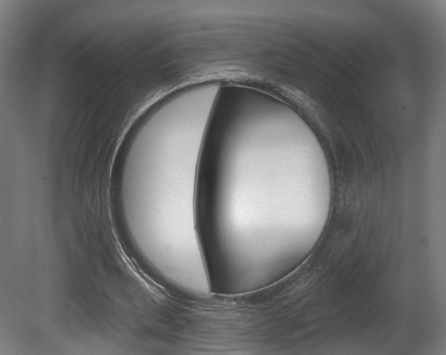 X0000079580439200612010929