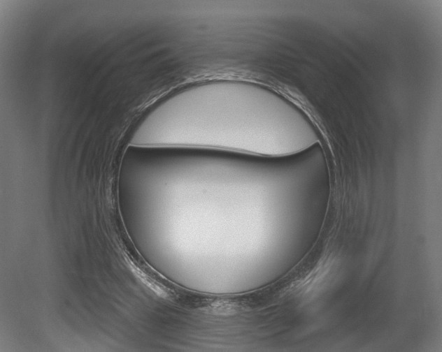 X0000079580441200612010930