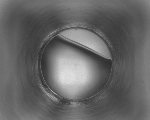 X0000079580442200612010930