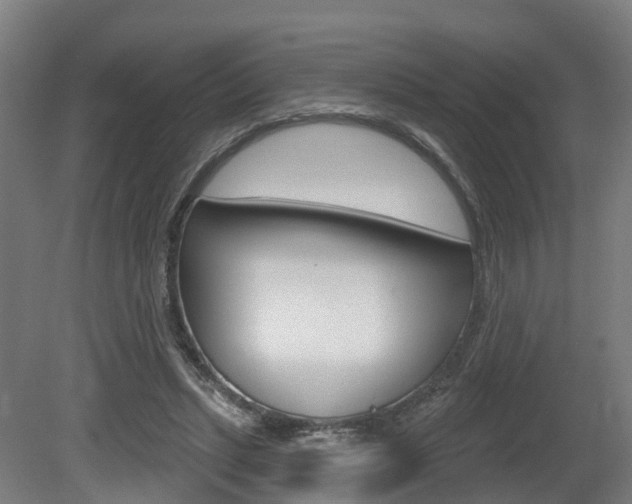 X0000079580447200612010930
