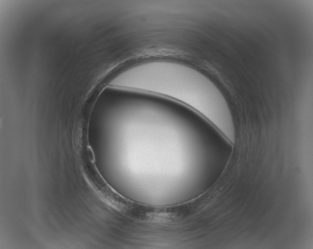 X0000079580448200612010930