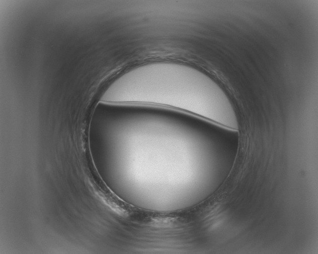 X0000079580450200612010930