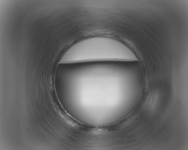 X0000079580453200612010930