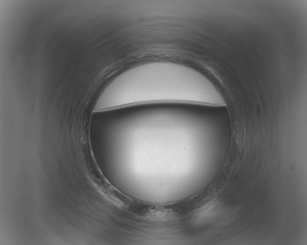 X0000079580455200612010930
