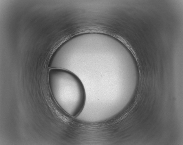 X0000079580481200612010929