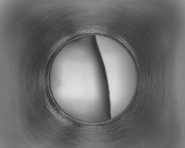 X0000079580482200612010929