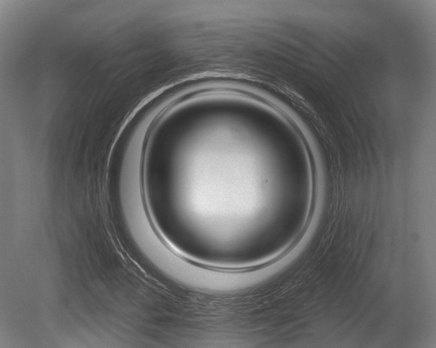 X0000079580484200612010929