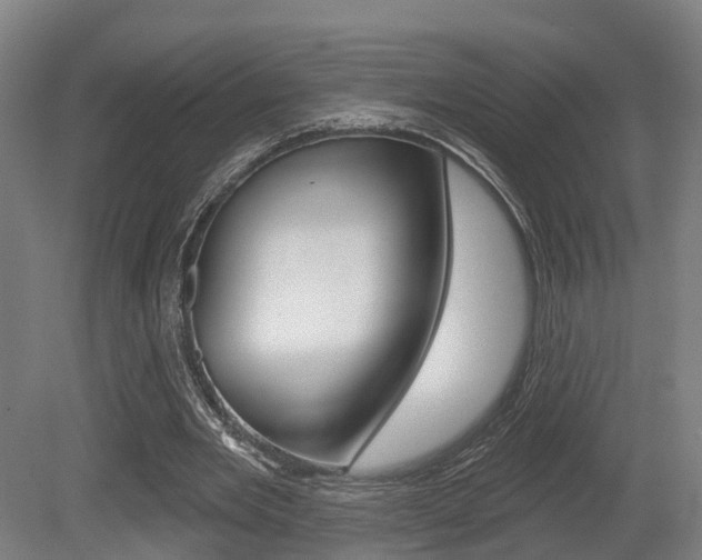 X0000079580485200612010929