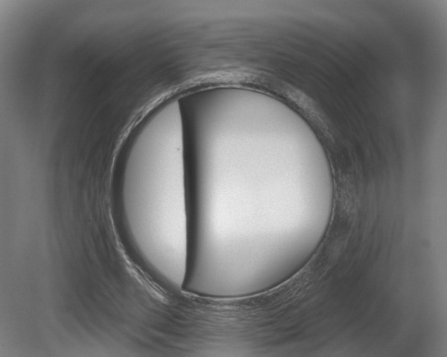 X0000079580486200612010929