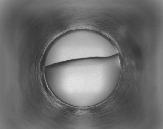 X0000079580487200612010929