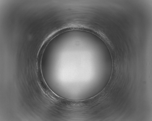 X0000079580488200612010929