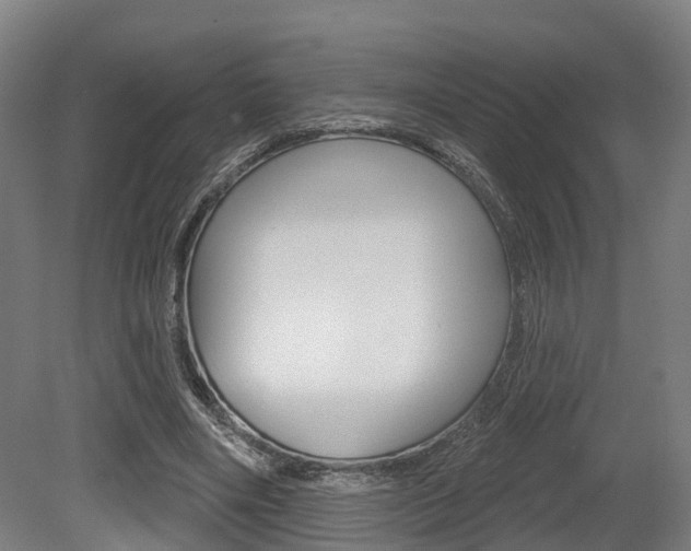 X0000079580490200612010929