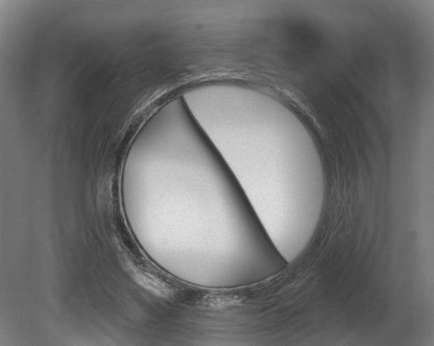 X0000079580491200612010929