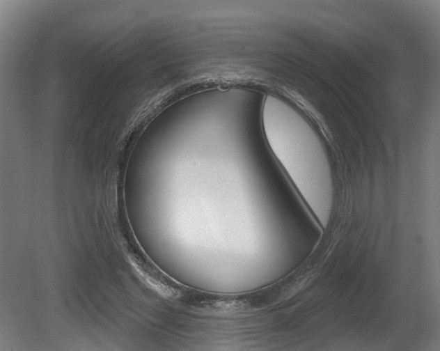 X0000079580493200612010929
