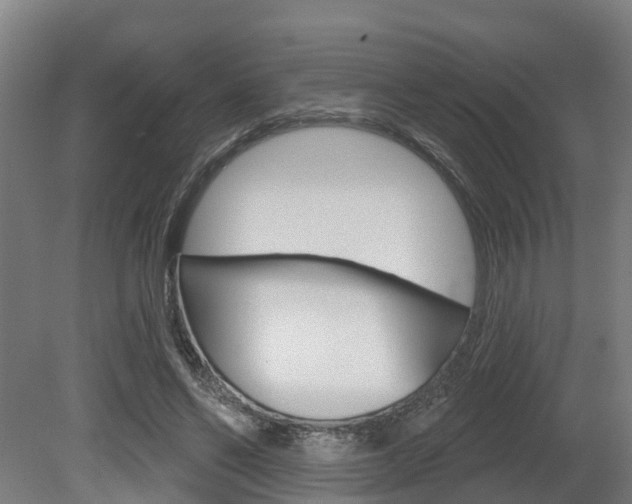 X0000079580494200612010929