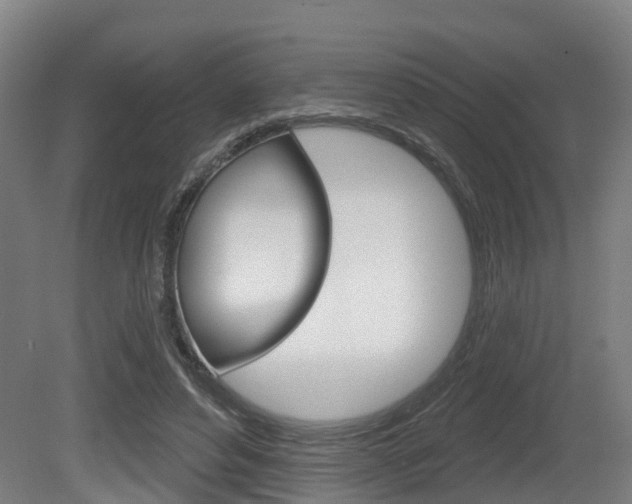 X0000079580496200612010929