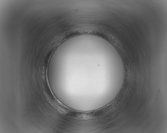 X0000079580498200612010929