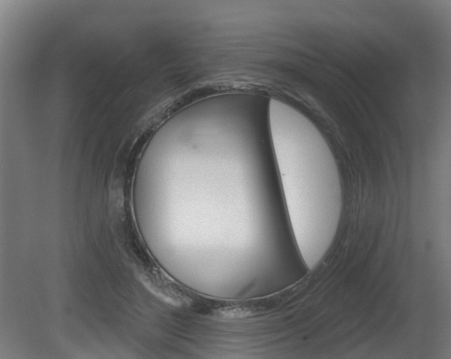 X0000079580500200612010929