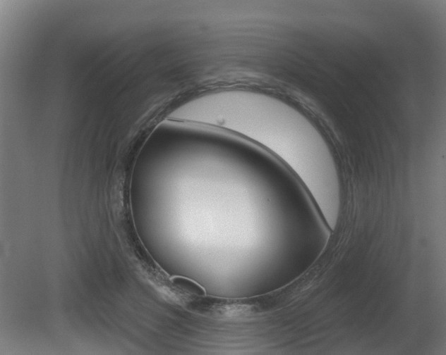 X0000079580501200612010929