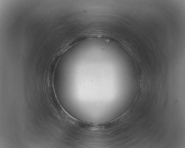 X0000079580504200612010929