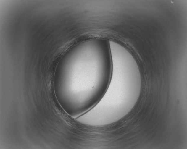 X0000079580505200612010929
