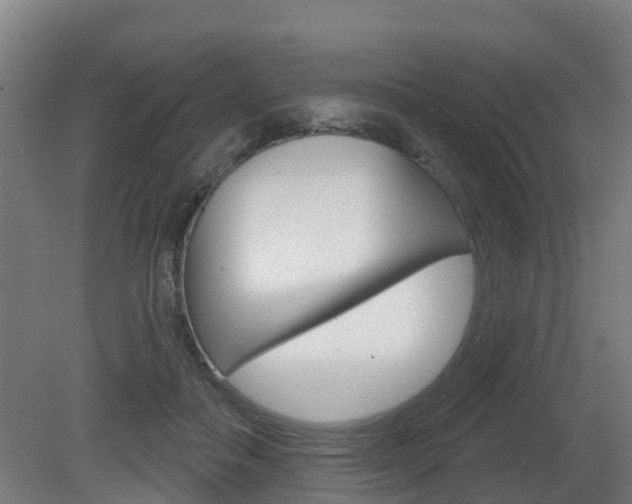 X0000079580506200612010929