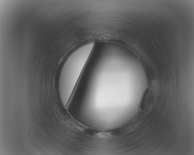X0000079580508200612010929