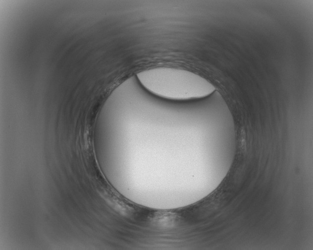 X0000079580514200612010929