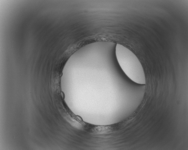 X0000079580526200612010929
