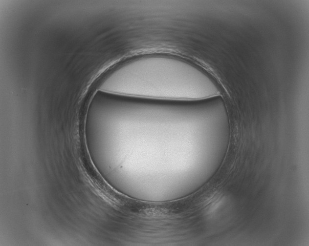 X0000079580535200612010928