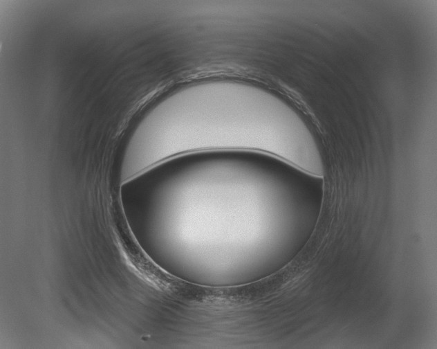 X0000079580538200612010928