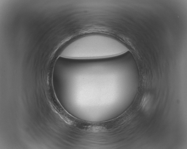 X0000079580539200612010928