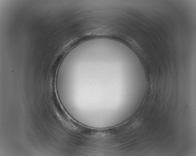 X0000079580542200612010928