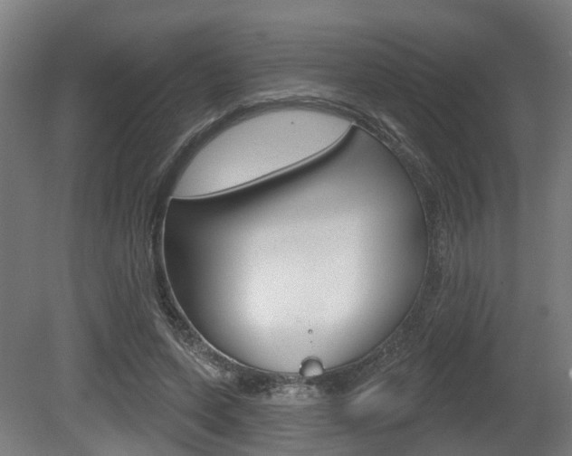 X0000079580543200612010928