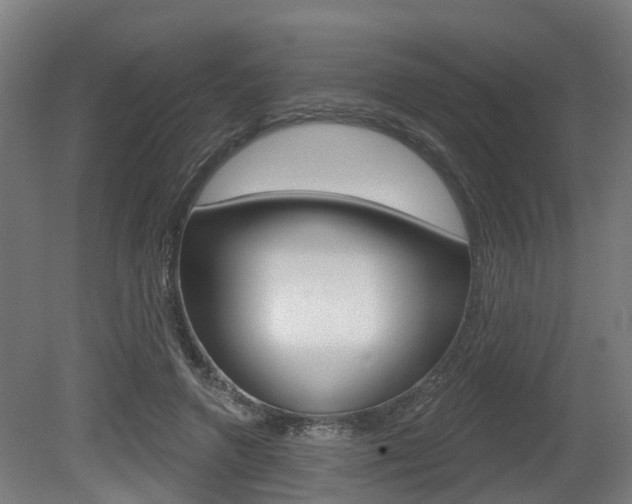 X0000079580546200612010928