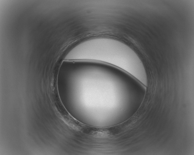 X0000079580548200612010928
