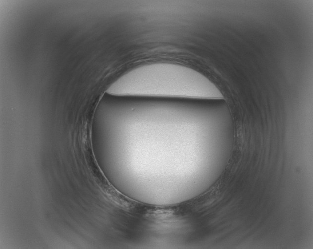 X0000079580554200612010928