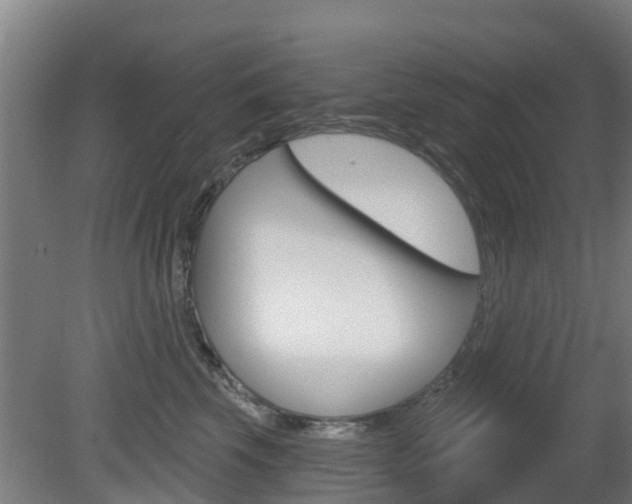 X0000079580569200612010928