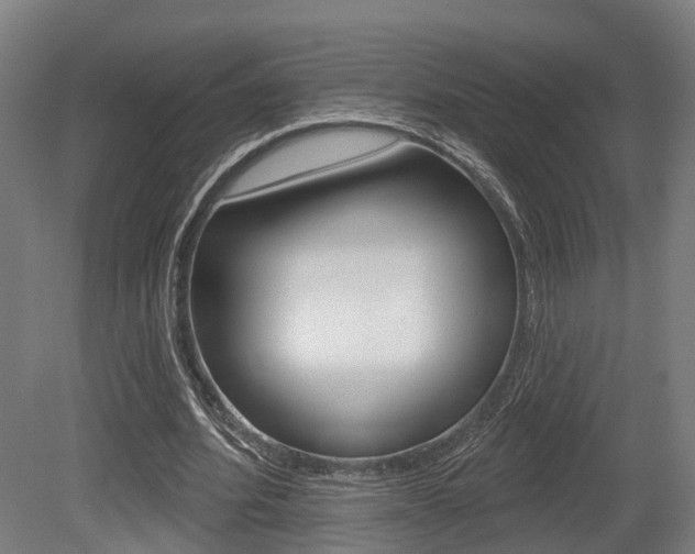 X0000079580580200612010928