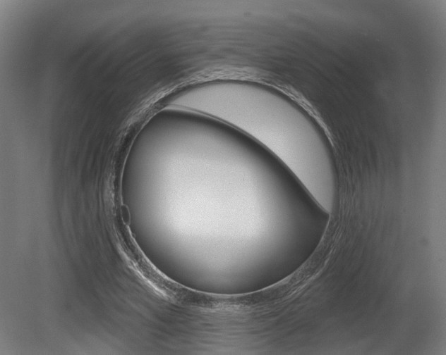 X0000079580581200612010928