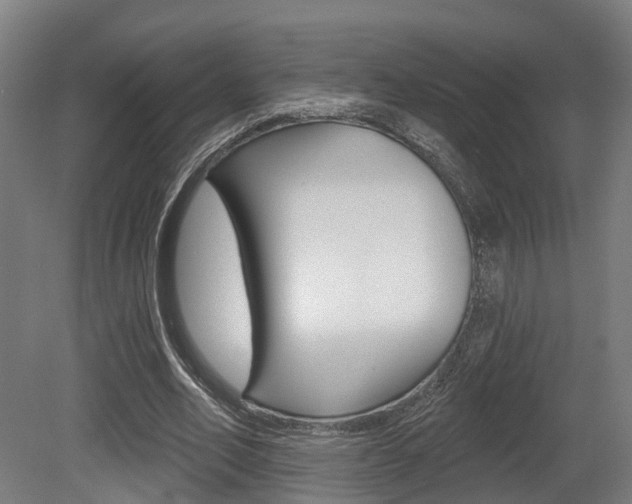 X0000079580582200612010928
