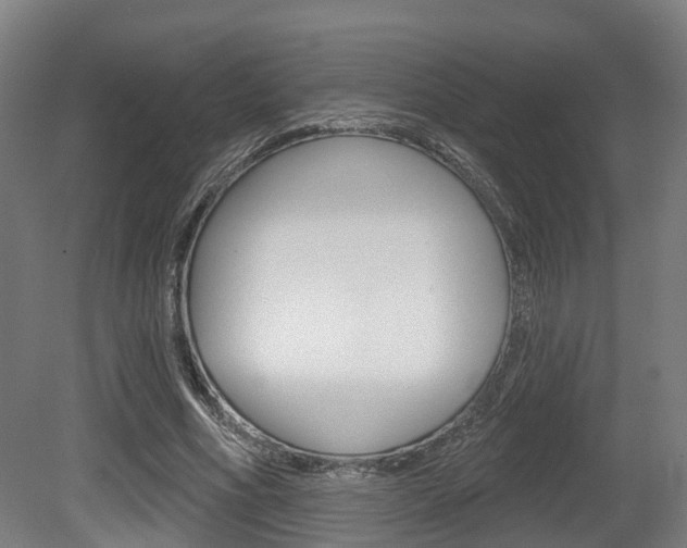 X0000079580586200612010928